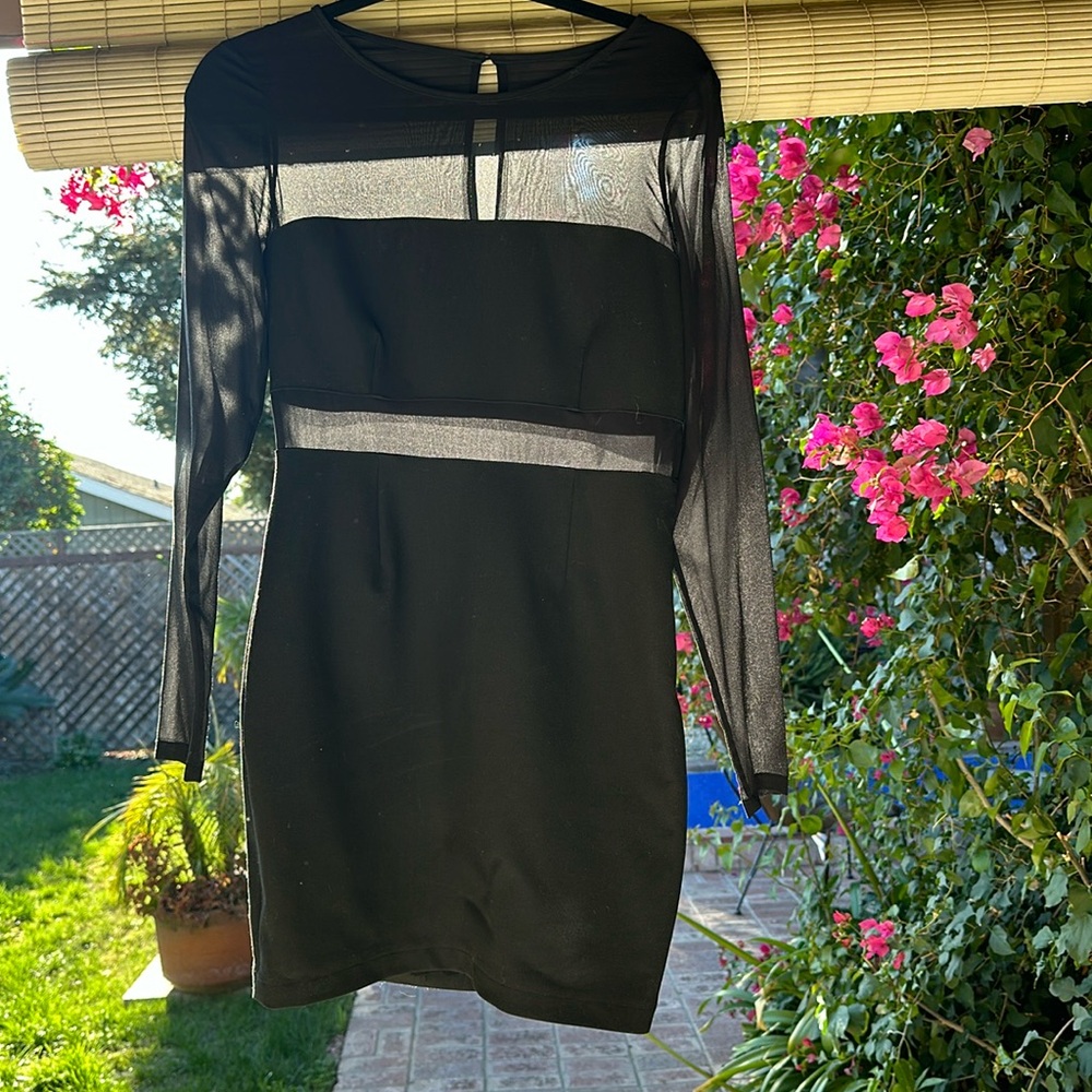 Elizabeth and James Mesh Block Mini Dress